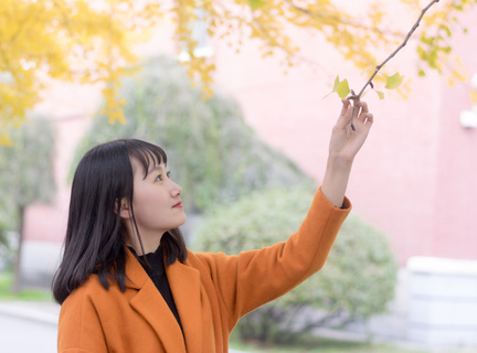 在菲律宾怎么补办护照(补办护照全新指南)